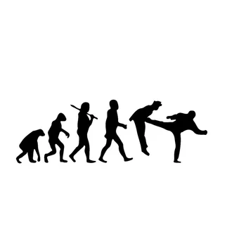 16.5*5.5 CM Interesanta Cilvēces Evolūcija, Taekwondo Auto Uzlīmes, kas Attiecas Uz Ķermeni Atstarojošs Vinila Decals Melna/Sudraba C7-0583