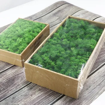 Mākslīgo Zaļo Augu Nemirstīgs Viltus Ziedu Sūnu Zāle Mājas Dzīvojamā Istaba Dekoratīvie DIY Ziedu Mini Piederumi